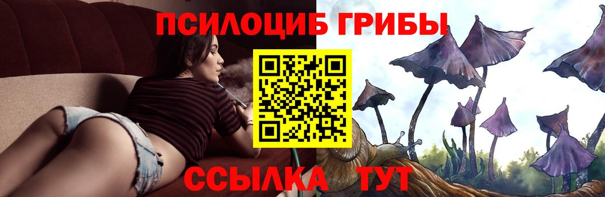 Нижний Новгород  Псилоцибиновые грибы GOLDEN TEACHER  Вход с VPN  Псилоцибиновые грибы GOLDEN TEACHER 